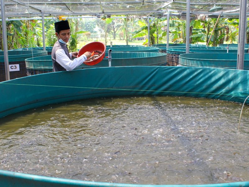 man-sitting-swimming-pool